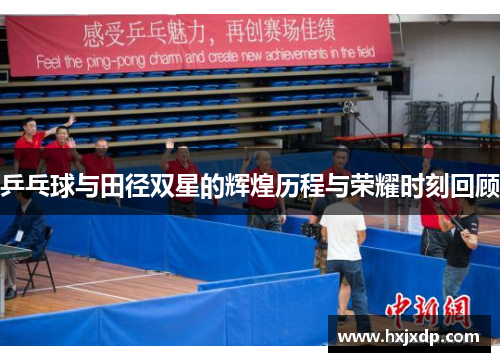 乒乓球与田径双星的辉煌历程与荣耀时刻回顾
