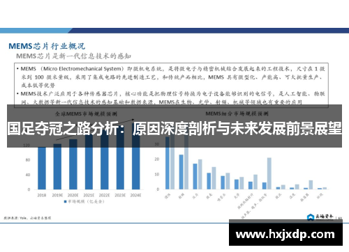 国足夺冠之路分析：原因深度剖析与未来发展前景展望