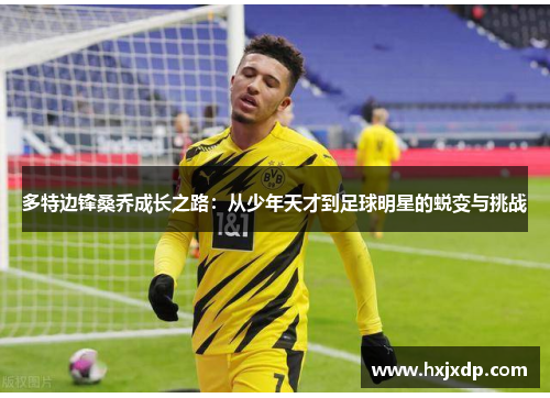 多特边锋桑乔成长之路：从少年天才到足球明星的蜕变与挑战