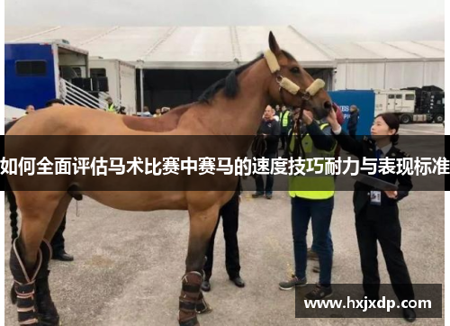 如何全面评估马术比赛中赛马的速度技巧耐力与表现标准 如何全面评估马术比赛中赛马的速度技巧耐力与表现标准